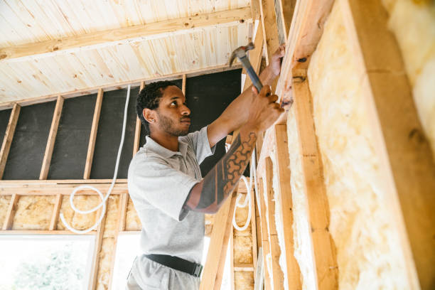 Best Cellulose Insulation  in Lakewood, OH